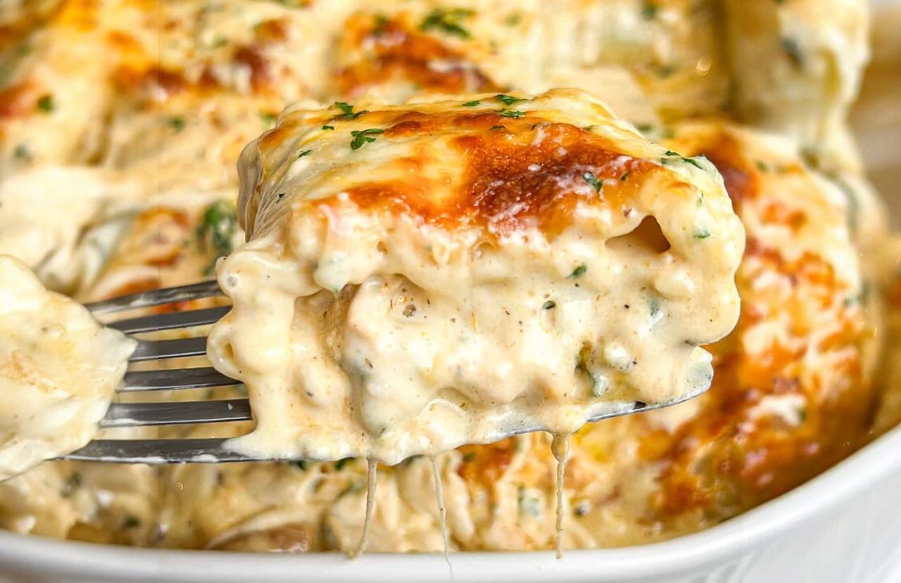 Rollos de pasta  Chicken Alfredo